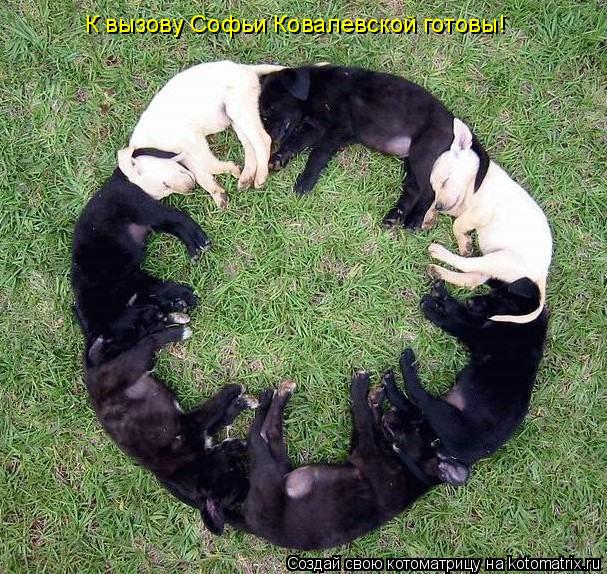 К вызову Софьи Ковалевской готовы!... Котоматрица: К вызову Софьи Ковалевской готовы!