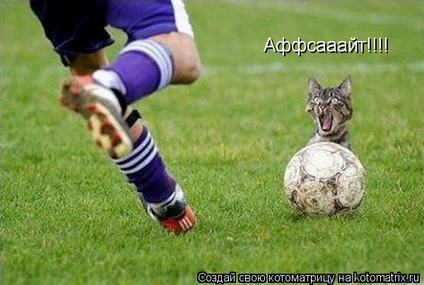 Аффсааайт!!!!... Котоматрица: Аффсааайт!!!!