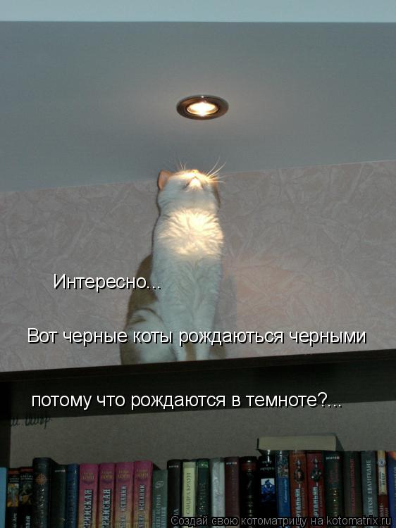Интересно... Вот черные коты рождаються черными потому что рождаются в темноте?...... Котоматрица: Интересно... Вот черные коты рождаються черными потому что рождаются в темноте?...
