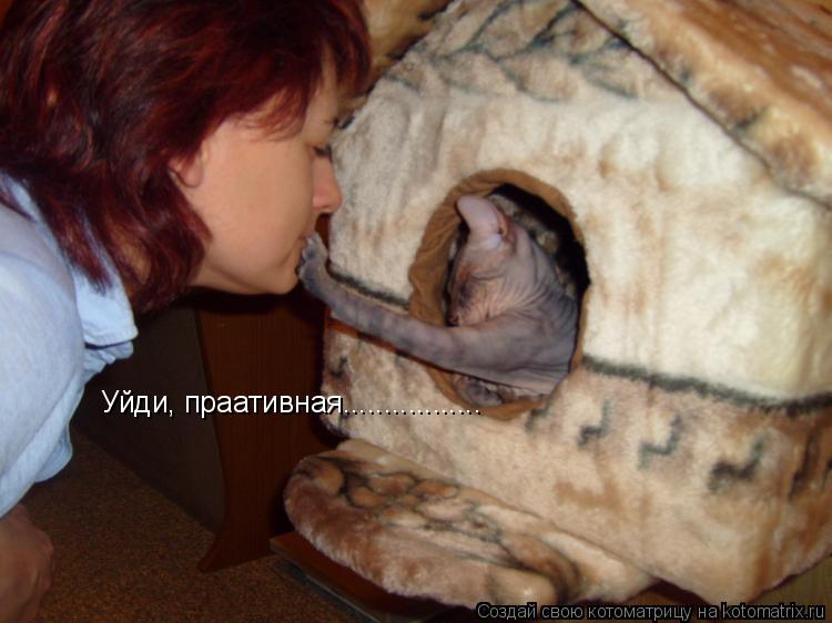 Уйди, праативная.................... Котоматрица: Уйди, праативная.................