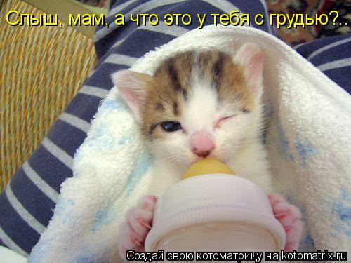 Слыш, мам, а что это у тебя с грудью?..... Котоматрица: Слыш, мам, а что это у тебя с грудью?..