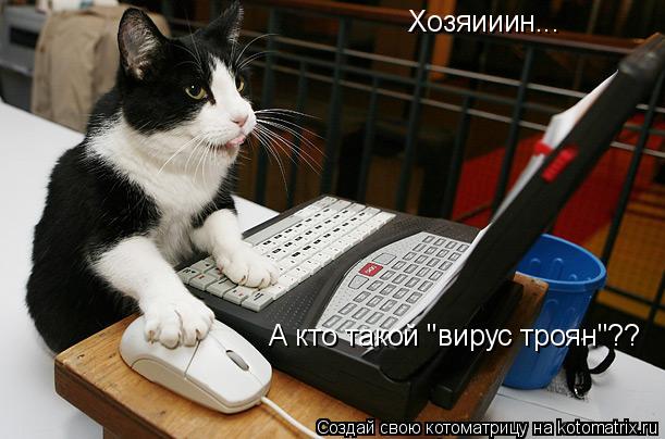 Хозяииин... А кто такой "вирус троян"??... Котоматрица: Хозяииин... А кто такой "вирус троян"??