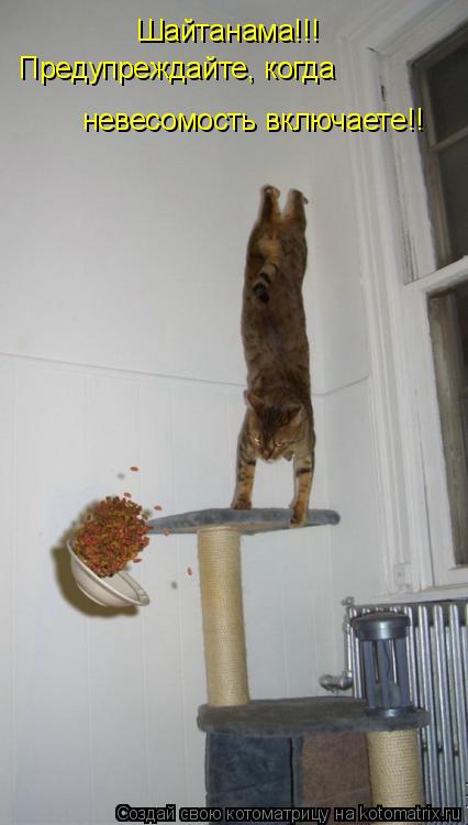 Шайтанама!!! Предупреждайте, когда невесомость включаете!!... Котоматрица: Шайтанама!!! Предупреждайте, когда невесомость включаете!!
