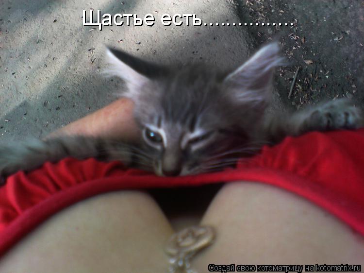 Щастье есть................... Котоматрица: Щастье есть................