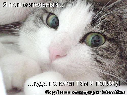 Я положительный... ...куда положат там и полижу!... Котоматрица: Я положительный... ...куда положат там и полижу!