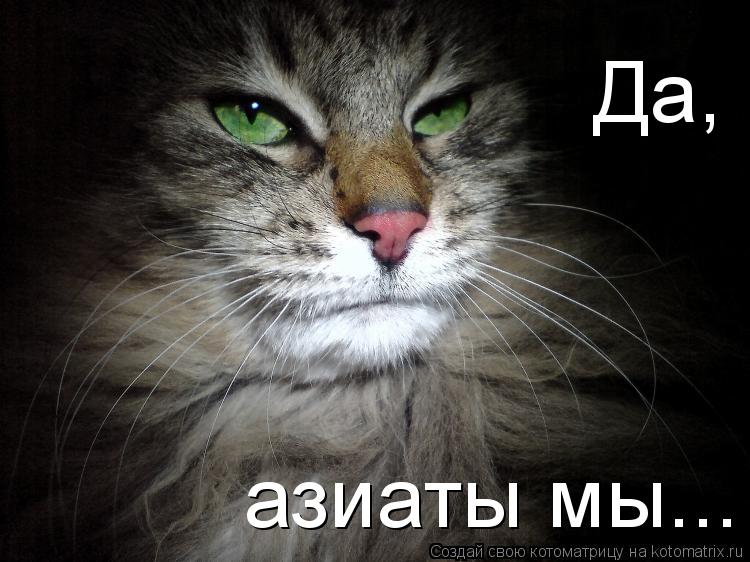 Да, азиаты мы...... Котоматрица: Да, азиаты мы...