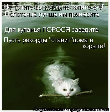 Не топите вы котов,не топите-е-е! Полотенце лучше им принесите.. Для купанья ПОРОСЯ заведите Пусть ре... Котоматрица: Не топите вы котов,не топите-е-е! Полотенце лучше им принесите.. Для купанья ПОРОСЯ заведите Пусть рекорды "ставит"дома в корыте!