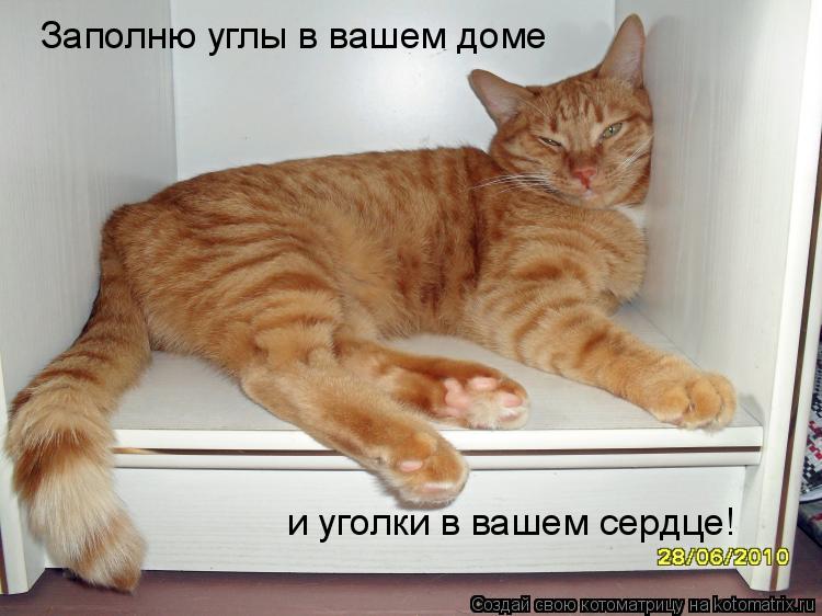 Заполню углы в вашем доме и уголки в вашем сердце!... Котоматрица: Заполню углы в вашем доме и уголки в вашем сердце!