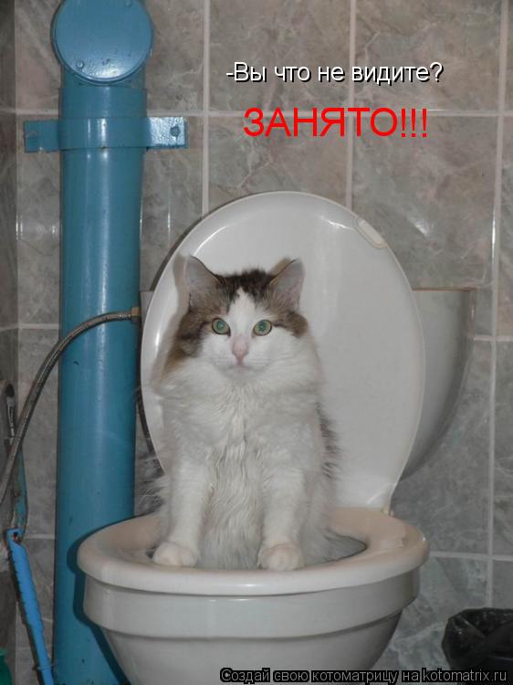 -Вы что не видите? ЗАНЯТО !!!... Котоматрица: -Вы что не видите? ЗАНЯТО !!!