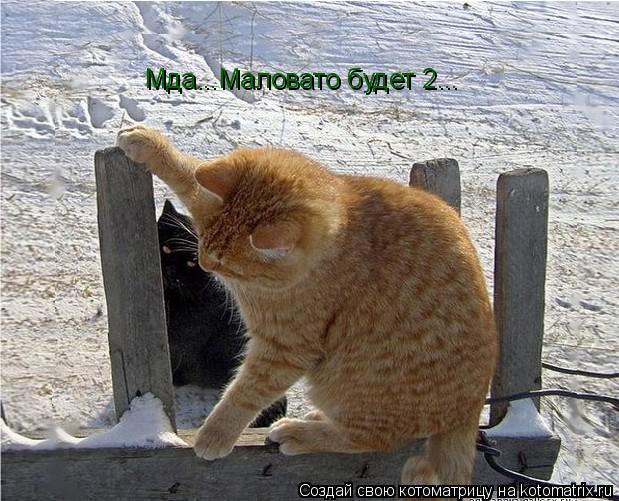 Мда...Маловато будет 2...... Котоматрица: Мда...Маловато будет 2...