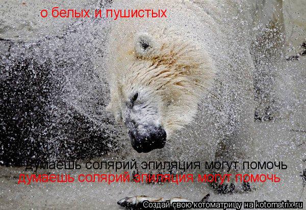 думаешь солярий эпиляция могут помочь думаешь солярий эпиляция могут помочь о белых и пушистых... Котоматрица: думаешь солярий эпиляция могут помочь думаешь солярий эпиляция могут помочь о белых и пушистых