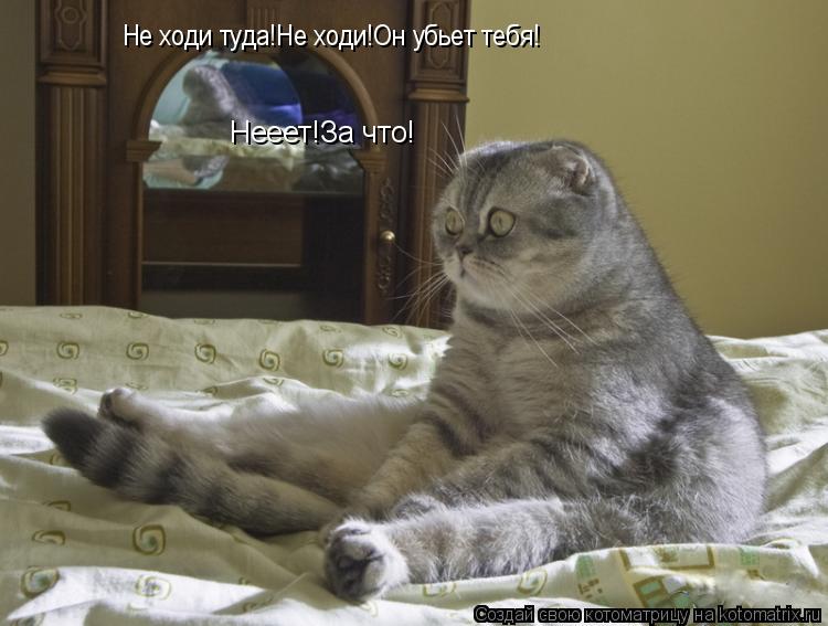 Нееет!За что! Не ходи туда!Не ходи!Он убьет тебя!... Котоматрица: Нееет!За что! Не ходи туда!Не ходи!Он убьет тебя!