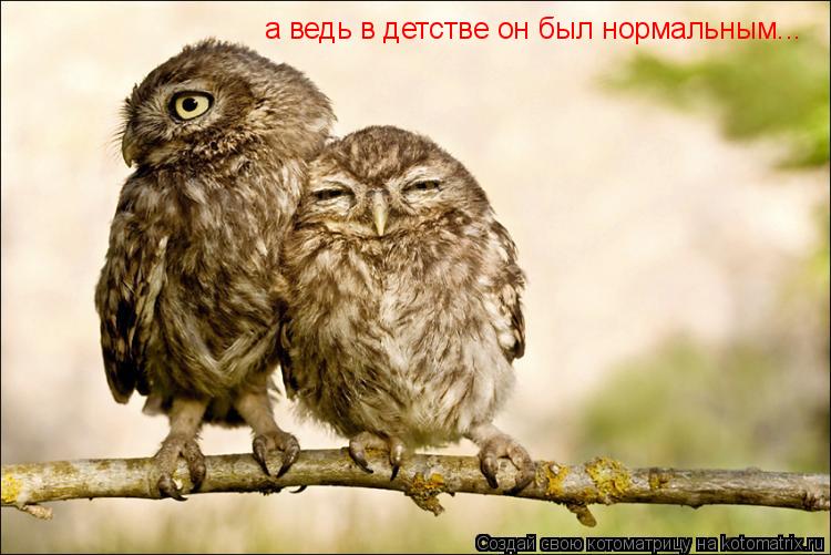 а ведь в детстве он был нормальным...... Котоматрица: а ведь в детстве он был нормальным...