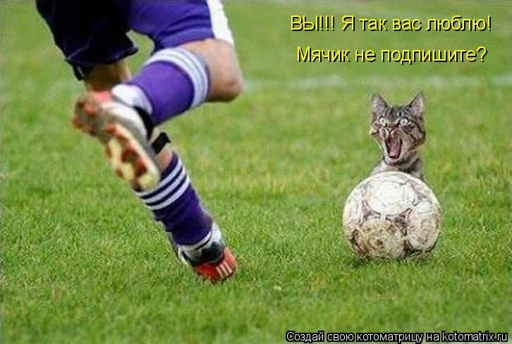 ВЫ!!! Я так вас люблю! Мячик не подпишите?... Котоматрица: ВЫ!!! Я так вас люблю! Мячик не подпишите?