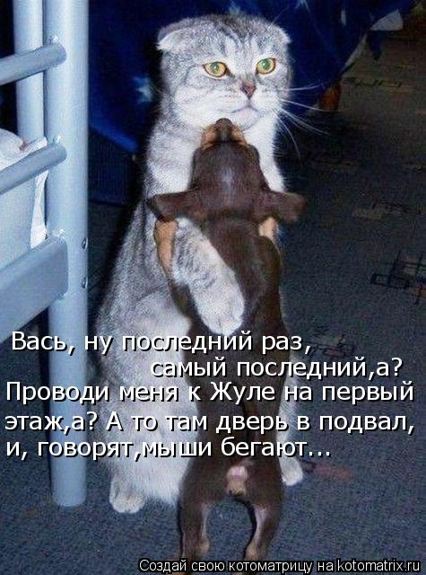 Вась, ну последний раз, самый последний,а? Проводи меня к Жуле на первый этаж,а? А то там дверь в по... Котоматрица: Вась, ну последний раз, самый последний,а? Проводи меня к Жуле на первый этаж,а? А то там дверь в подвал, и, говорят,мыши бегают...