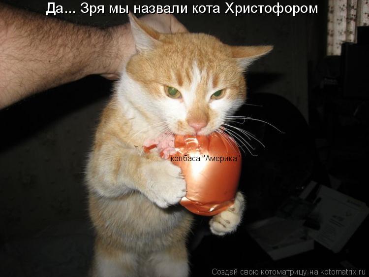 колбаса "Америка" Да... Зря мы назвали кота Христофором... Котоматрица: колбаса "Америка" Да... Зря мы назвали кота Христофором