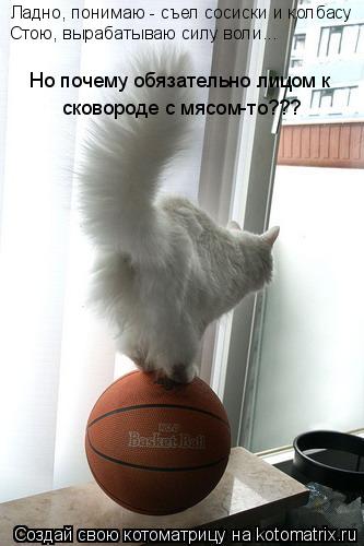 Ладно, понимаю - съел сосиски и колбасу Стою, вырабатываю силу воли... Но почему обязательно лицом к ... Котоматрица: Ладно, понимаю - съел сосиски и колбасу Стою, вырабатываю силу воли... Но почему обязательно лицом к сковороде с мясом-то???