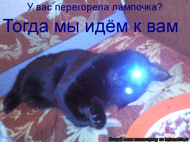 У вас перегорела лампочка? Тогда мы идём к вам... Котоматрица: У вас перегорела лампочка? Тогда мы идём к вам