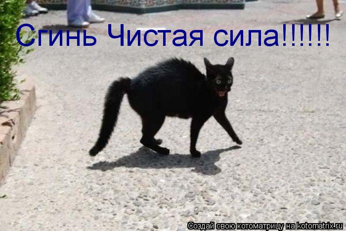 Сгинь Чистая сила!!!!!!... Котоматрица: Сгинь Чистая сила!!!!!!
