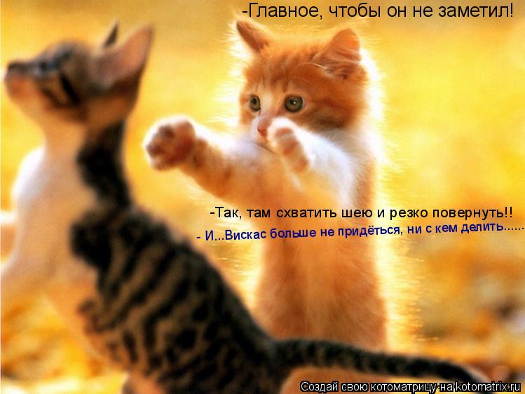 -Главное, чтобы он не заметил! -Так, там схватить шею и резко повернуть!! - И...Вискас больше не прид... Котоматрица: -Главное, чтобы он не заметил! -Так, там схватить шею и резко повернуть!! - И...Вискас больше не придёться, ни с кем делить......