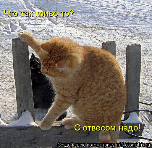 Что так криво то? С отвесом надо!... Котоматрица: Что так криво то? С отвесом надо!