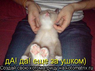 дА! да! еще за ушком)... Котоматрица: дА! да! еще за ушком)