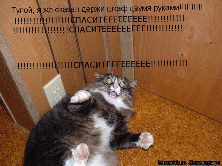 тупой я же сказал держи шкаф двумя руками!!!!!!!!!! СПАСИТЕ!!!!!!!!!!!!!!!!!!!!!!!!!!!!!!! Тупой, я ж... Котоматрица: тупой я же сказал держи шкаф двумя руками!!!!!!!!!! СПАСИТЕ!!!!!!!!!!!!!!!!!!!!!!!!!!!!!!! Тупой, я же сказал держи шкаф двумя руками!!!!!!!!!! !!!!!!
