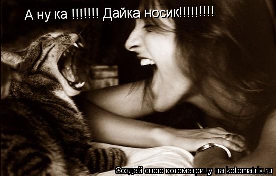 А ну ка !!!!!!! Дайка носик!!!!!!!!! А ну ка !!!!!!! Дайка носик!!!!!!!!!... Котоматрица: А ну ка !!!!!!! Дайка носик!!!!!!!!! А ну ка !!!!!!! Дайка носик!!!!!!!!!