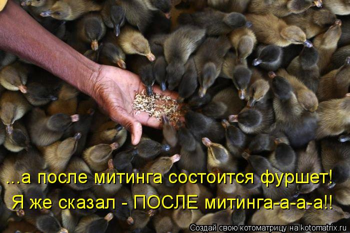 ...а после митинга состоится фуршет! Я же сказал - ПОСЛЕ митинга-а-а-а!!... Котоматрица: ...а после митинга состоится фуршет! Я же сказал - ПОСЛЕ митинга-а-а-а!!