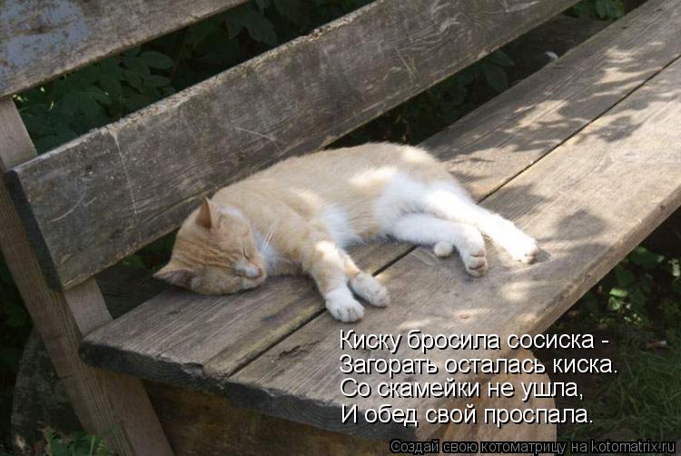 Загорать осталась киска. Киску бросила сосиска - Со скамейки не ушла, И обед свой проспала.... Котоматрица: Загорать осталась киска. Киску бросила сосиска - Со скамейки не ушла, И обед свой проспала.