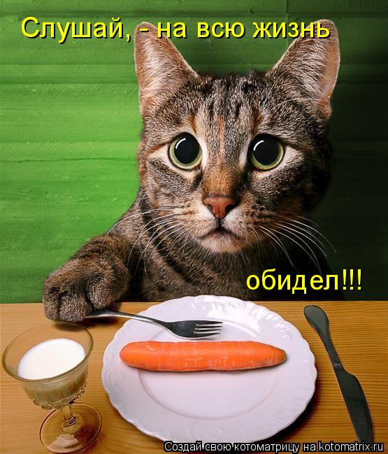 Слушай, - на всю жизнь обидел!!!... Котоматрица: Слушай, - на всю жизнь обидел!!!