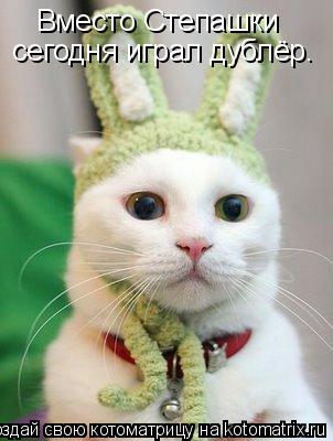 Вместо Степашки сегодня играл дублёр.... Котоматрица: Вместо Степашки сегодня играл дублёр.