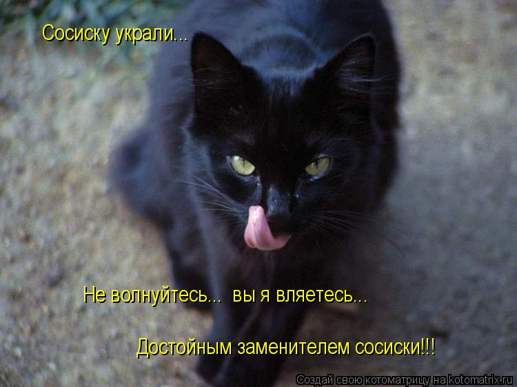 Сосиску украли... Достойным заменителем сосиски!!! Не волнуйтесь... вы я вляетесь...... Котоматрица: Сосиску украли... Достойным заменителем сосиски!!! Не волнуйтесь... вы я вляетесь...