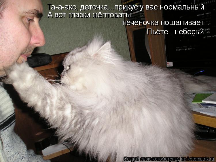 Та-а-акс, деточка...прикус у вас нормальный. А вот глазки жёлтоваты.... печёночка пошаливает... Пьёте... Котоматрица: Та-а-акс, деточка...прикус у вас нормальный. А вот глазки жёлтоваты.... печёночка пошаливает... Пьёте , небось?