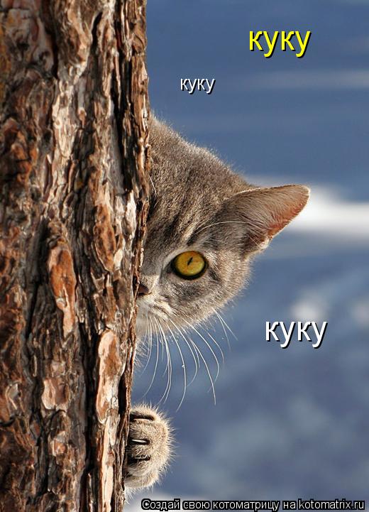 куку куку куку... Котоматрица: куку куку куку