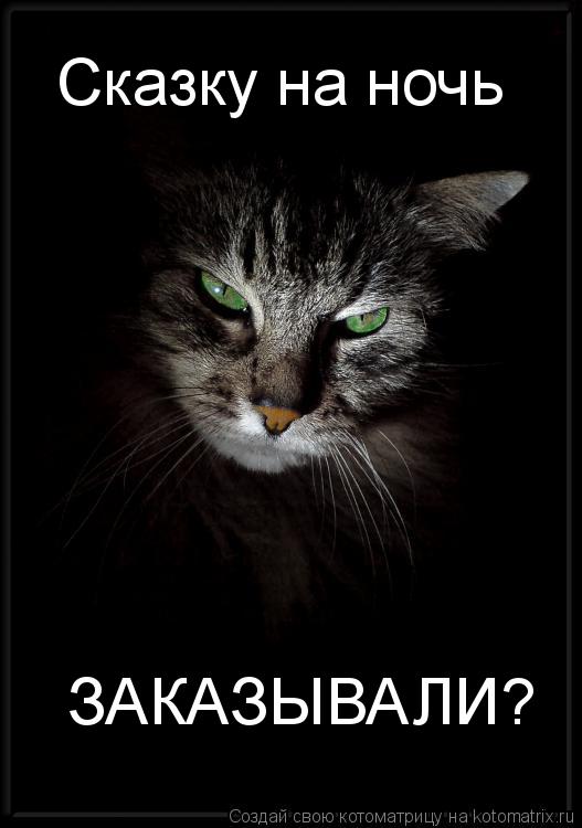 Сказку на ночь ЗАКАЗЫВАЛИ?... Котоматрица: Сказку на ночь ЗАКАЗЫВАЛИ?