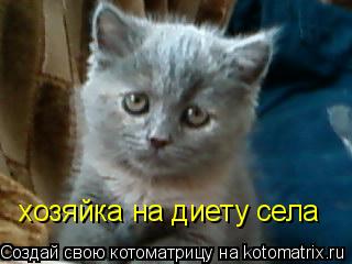 хозяйка на диету села... Котоматрица: хозяйка на диету села