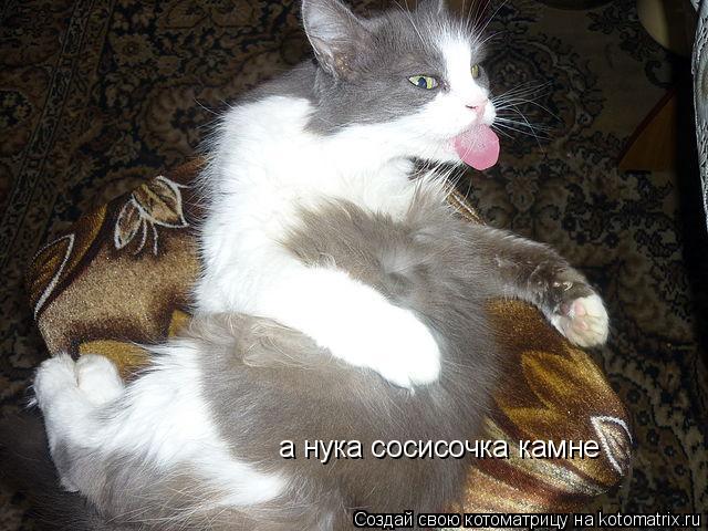а нука сосисочка камне... Котоматрица: а нука сосисочка камне