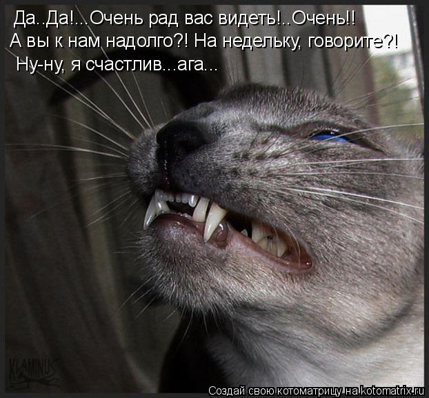 Да..Да!...Очень рад вас видеть!..Очень!! А вы к нам надолго?! На недельку, говорите?! Ну-ну, я счастл... Котоматрица: Да..Да!...Очень рад вас видеть!..Очень!! А вы к нам надолго?! На недельку, говорите?! Ну-ну, я счастлив...ага...
