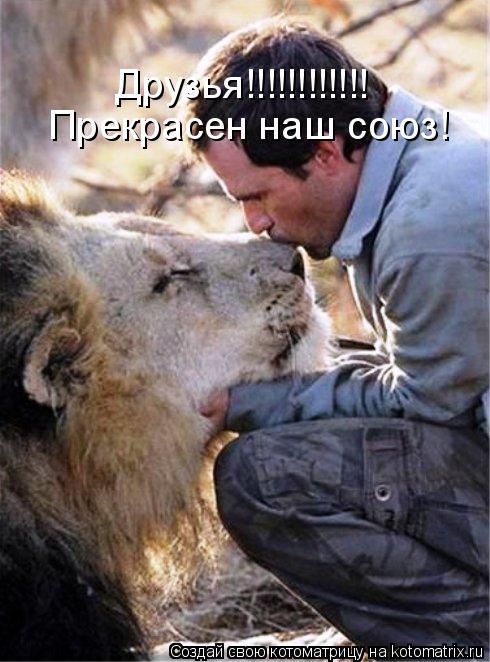 Друзья!!!!!!!!!!!! Прекрасен наш союз!... Котоматрица: Друзья!!!!!!!!!!!! Прекрасен наш союз!