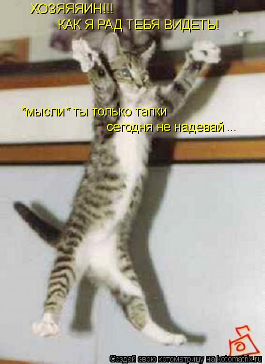 ХОЗЯЯЯИН!!! КАК Я РАД ТЕБЯ ВИДЕТЬ! *мысли* ты только тапки сегодня не надевай ...... Котоматрица: ХОЗЯЯЯИН!!! КАК Я РАД ТЕБЯ ВИДЕТЬ! *мысли* ты только тапки сегодня не надевай ...