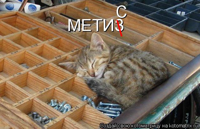 МЕТИЗ С... Котоматрица: МЕТИЗ С