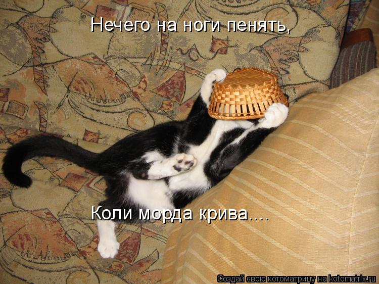 Нечего на ноги пенять, Коли морда крива....... Котоматрица: Нечего на ноги пенять, Коли морда крива....