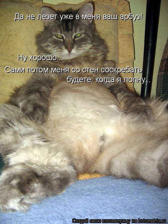 Да не лезет уже в меня ваш арбуз! Ну хорошо... Сами потом меня со стен соскребать будете, когда я лоп... Котоматрица: Да не лезет уже в меня ваш арбуз! Ну хорошо... Сами потом меня со стен соскребать будете, когда я лопну...