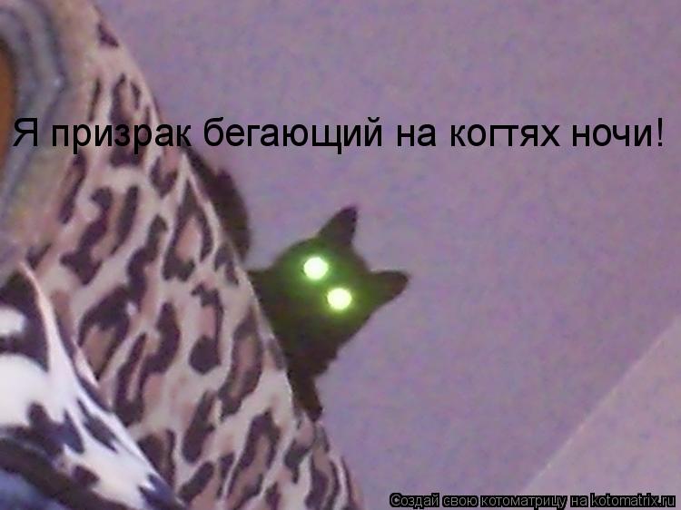 Я призрак бегающий на когтях ночи!... Котоматрица: Я призрак бегающий на когтях ночи!