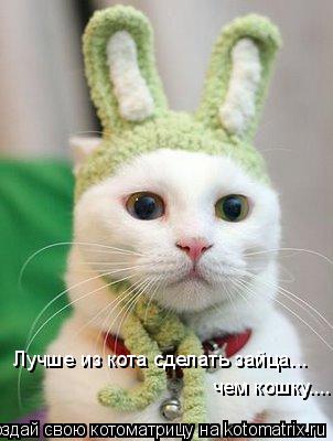 Лучше из кота сделать зайца... чем кошку....... Котоматрица: Лучше из кота сделать зайца... чем кошку....