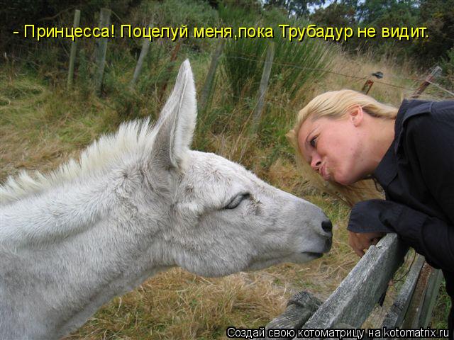 - Принцесса! Поцелуй меня,пока Трубадур не видит.... Котоматрица: - Принцесса! Поцелуй меня,пока Трубадур не видит.