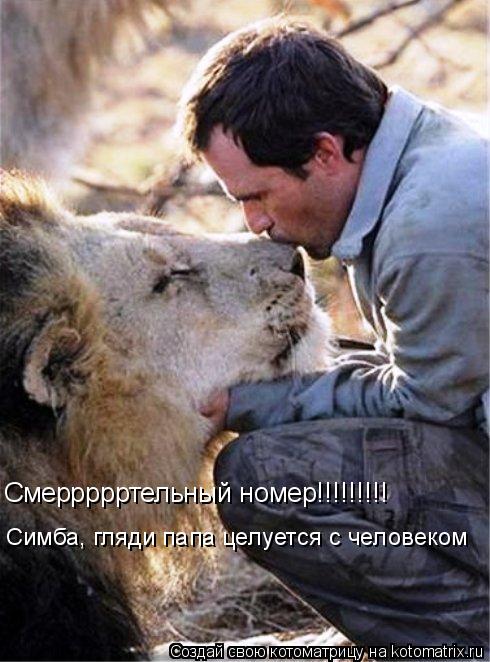 Симба, гляди папа целуется с человеком Смеррррртельный номер!!!!!!!!!... Котоматрица: Симба, гляди папа целуется с человеком Смеррррртельный номер!!!!!!!!!