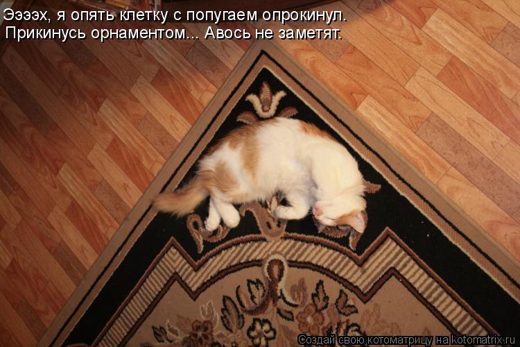 Ээээх, я опять клетку с попугаем опрокинул. Прикинусь орнаментом... Авось не заметят.... Котоматрица: Ээээх, я опять клетку с попугаем опрокинул. Прикинусь орнаментом... Авось не заметят.