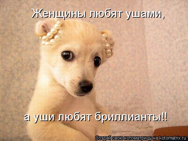 Женщины любят ушами, а уши любят бриллианты!!... Котоматрица: Женщины любят ушами, а уши любят бриллианты!!
